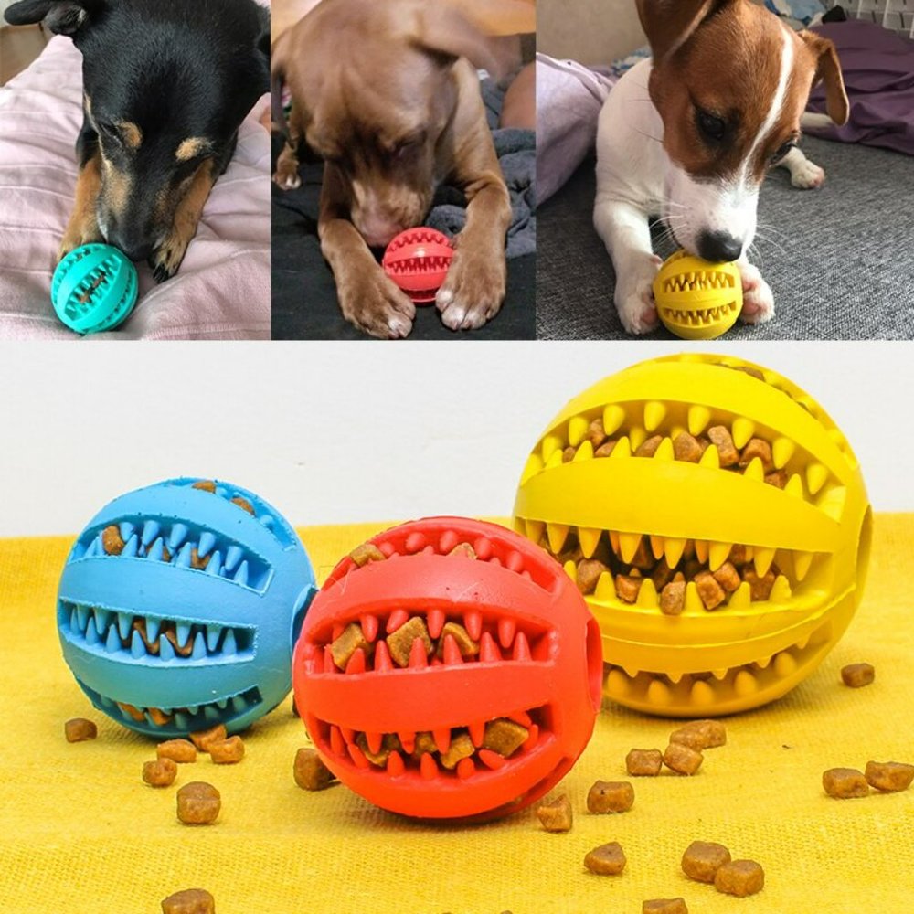 New 1 Pet Toy interactive Great for hours of fun Med
